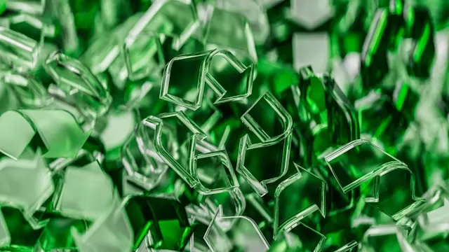logo ecologico con fondo verde