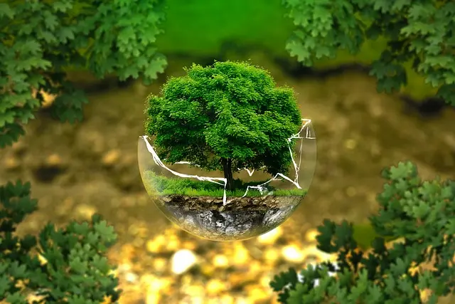 que son los disolventes ecologicos