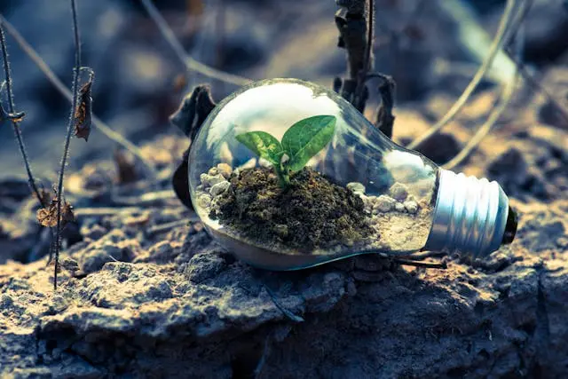 beneficios de disolventes ecologicos