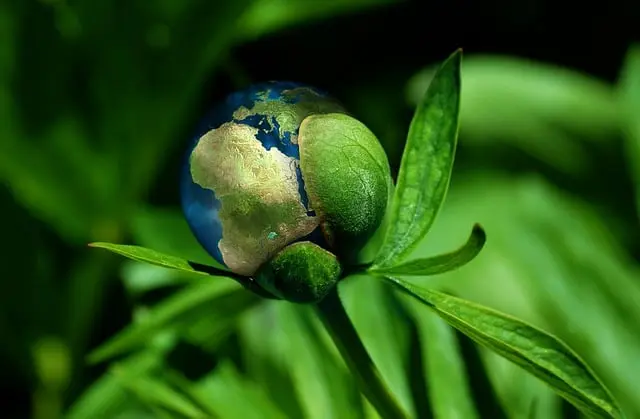 aplicaciones de disolvenets ecologicos