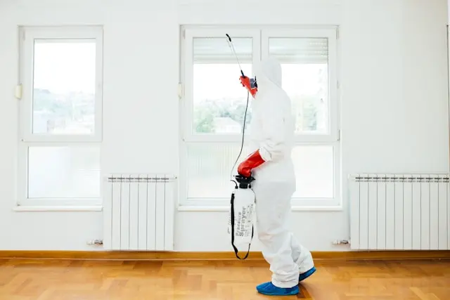 pinturas blancas