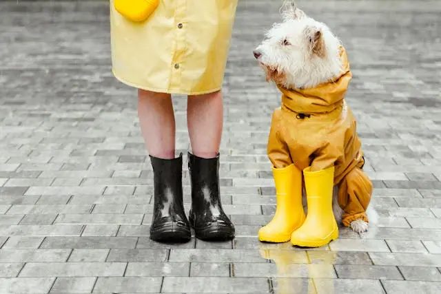 PVC para botas impermeables