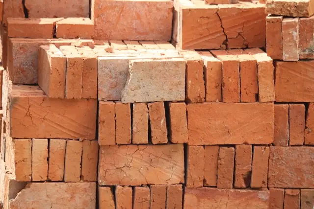 ladrillos para la construccion