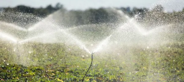 Agricultura y Riego