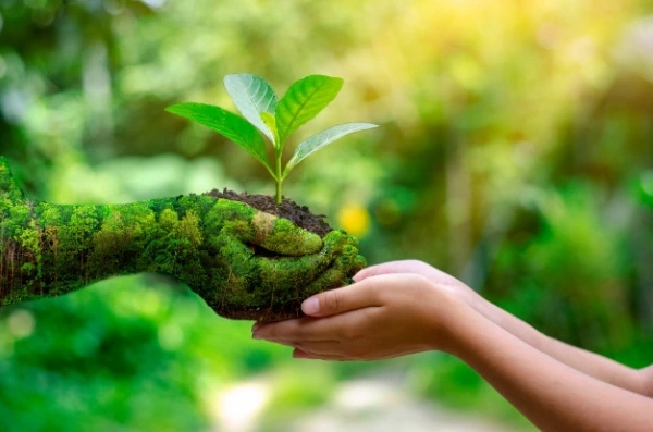 ¿Por qué el marketing verde es importante?