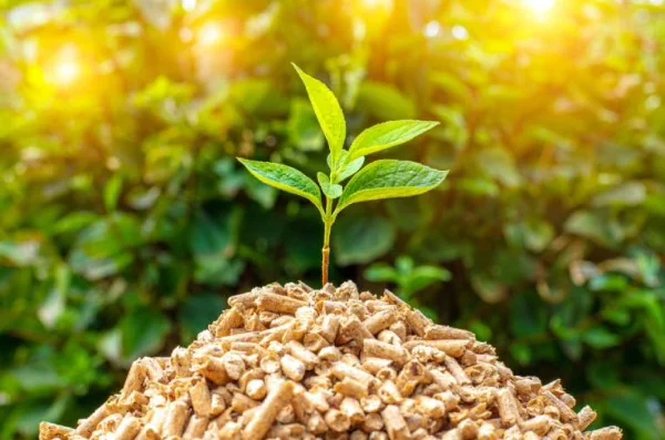 Estrategia 8: Implementar energías renovables a partir de residuos