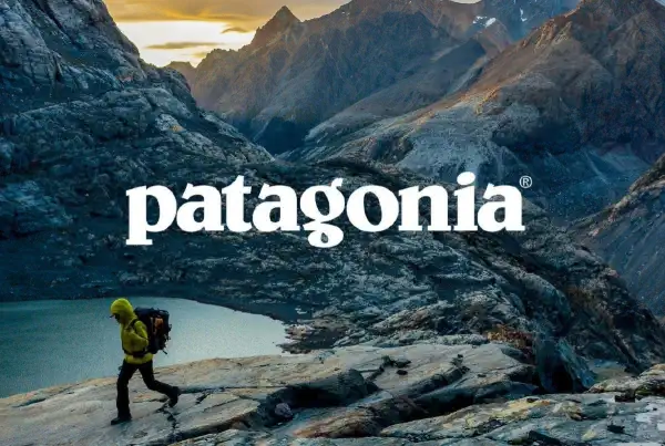 1. Patagonia