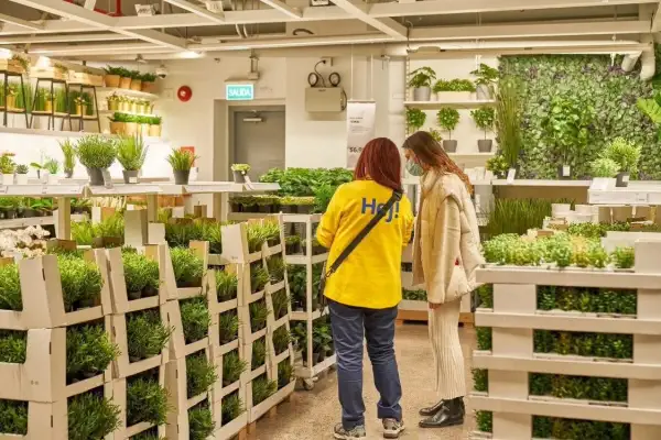 6. IKEA
