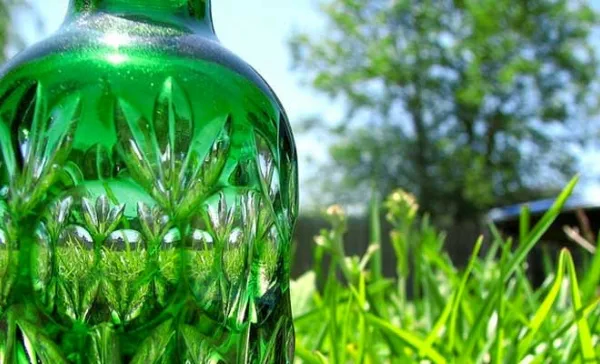 3. Bioplásticos