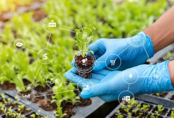 Principios clave de la agricultura regenerativa