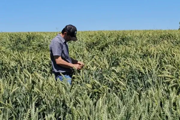 ¿Cómo ayuda la agricultura regenerativa al planeta?