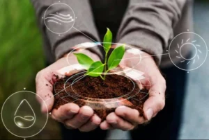 ¿Qué es la agricultura regenerativa y cómo ayuda al planeta