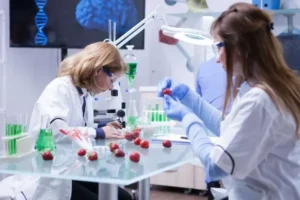 nanoquimica, dos personas en un laboratorio