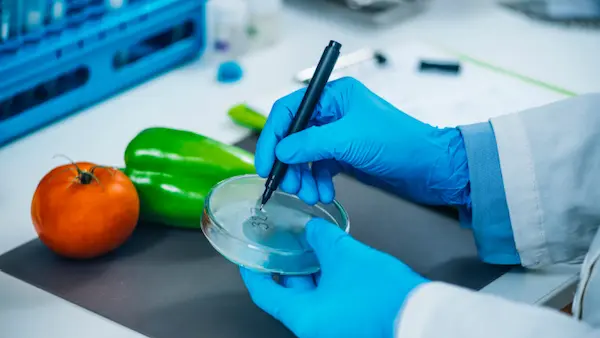 nanoquimica, laboratorio