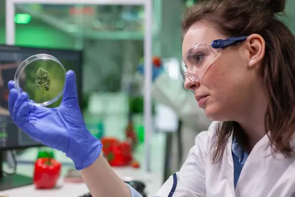 persona en un laboratorio, control de calidad 