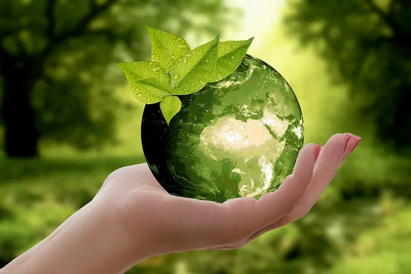 impacto ambiental