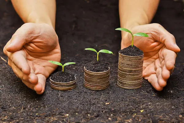 Principios fundamentales de la agricultura sostenible