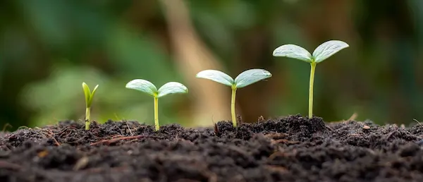 ¿Qué es la agricultura sostenible? : beneficios y ejemplos