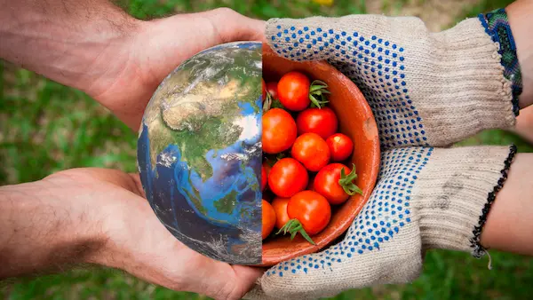 20 alimentos sostenibles en 2026