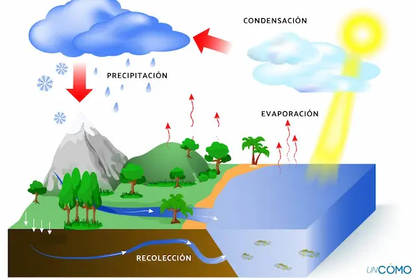 5. Condensación y reutilización del agua