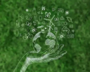 20 ejemplos de huella ecológica en 2026