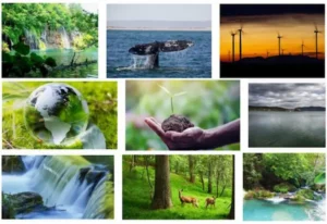50 recursos naturales más importantes del mundo