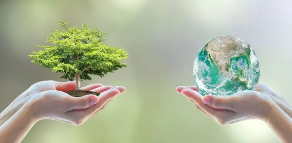 Día Mundial del Medio Ambiente en Chile: contexto y desafíos
