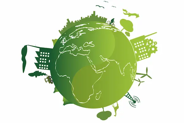 Educación ambiental: clave en el Día Mundial del Medio Ambiente