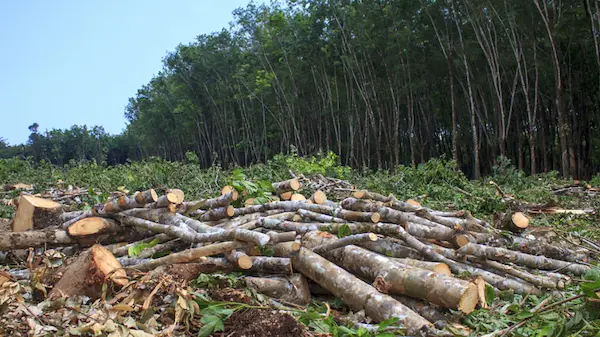 Impacto ambiental de la explotación de recursos naturales