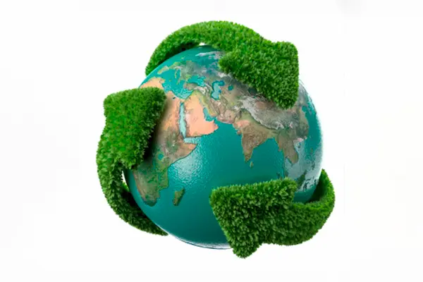 ¿Qué es el Día Mundial del Medio Ambiente?