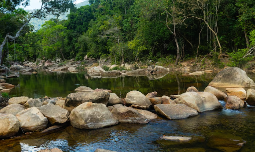 recursos naturales explicados, que son y para que sirven