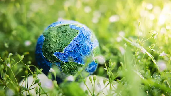 Día de la Tierra 2026: significado, actividades y datos clave
