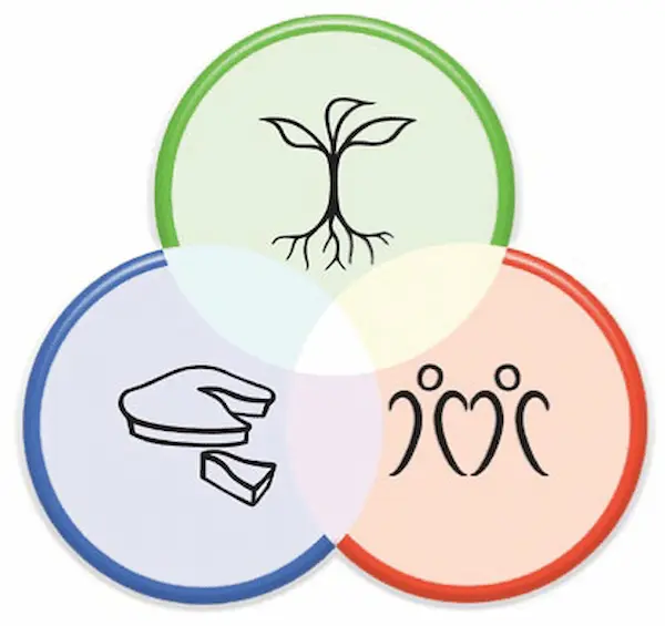 Principios básicos de la permacultura