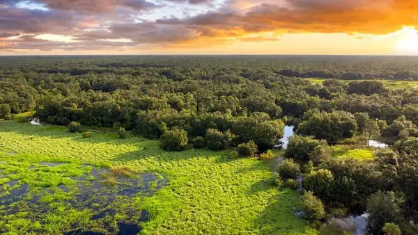 15 tipos de ecosistemas: características y ejemplos