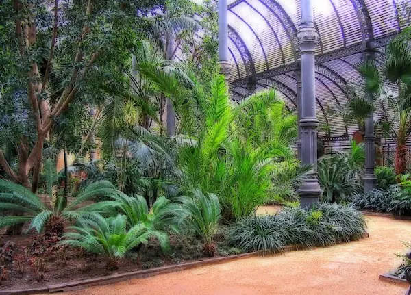 15. Ecosistemas artificiales