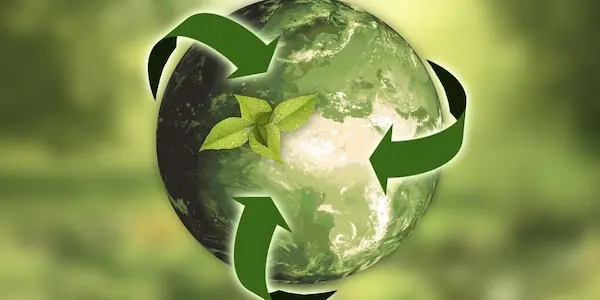 Ecodiseño y economía circular: una relación que impulsa un modelo más sostenible