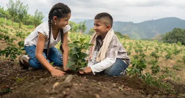 La educación ambiental en la vida cotidiana