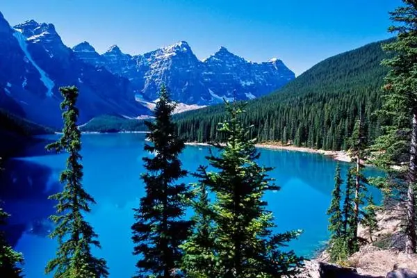 3. Taiga