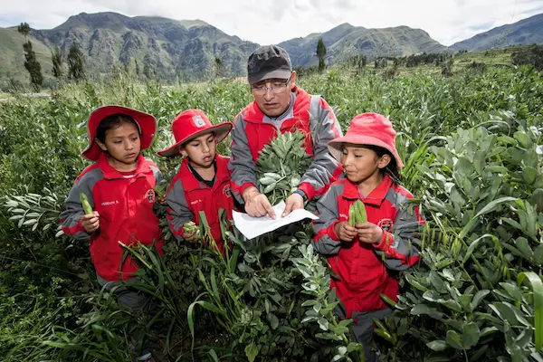 Principios fundamentales de la educación ambiental