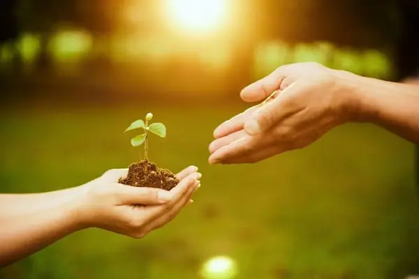 Principios fundamentales del ecodiseño