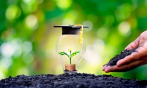 ¿Qué es la educación ambiental y por qué es importante?